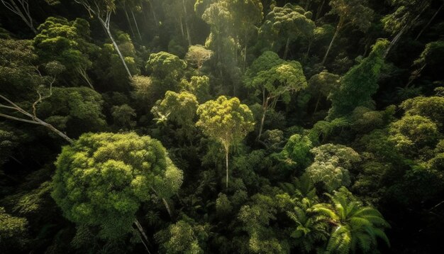 Jak sadzenie drzew wpływa na bioróżnorodność i walkę ze zmianą klimatu?